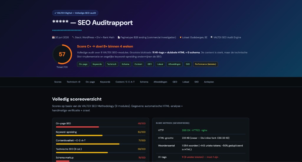 Valtex SEO Auditrapport — website levert geen klanten op